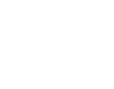 Prohouse - Damian Wąsik - logo